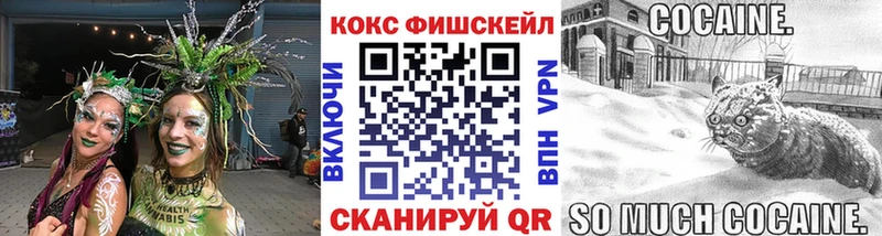 Купить где  Богучар  COCAIN 98% 
