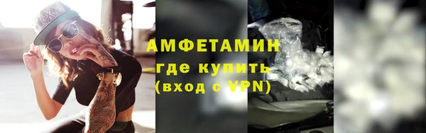 сатива Инсар