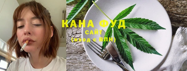 сатива Инсар