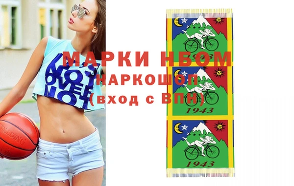 сатива Инсар