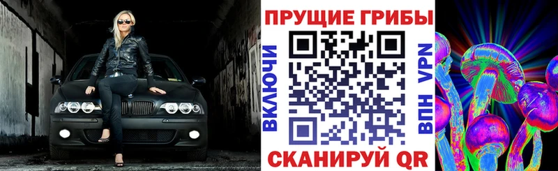 Псилоцибиновые грибы мухоморы Богучар