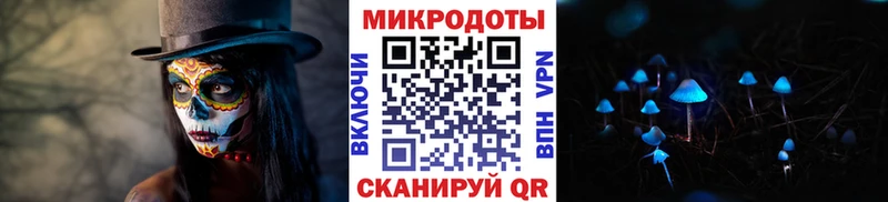 Купить где  Богучар  Галлюциногенные грибы Magic Shrooms 